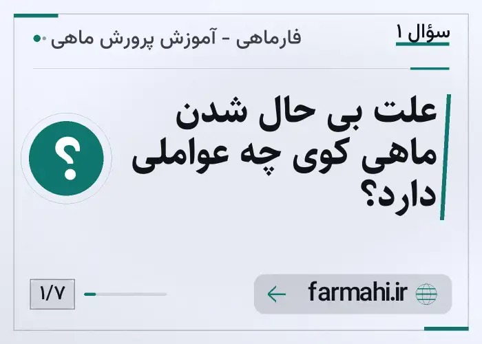علت بی حال شدن ماهی کوی چه عواملی دارد؟