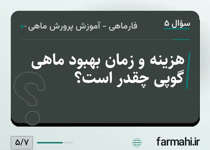 هزینه و زمان بهبود ماهی گوپی چقدر است؟