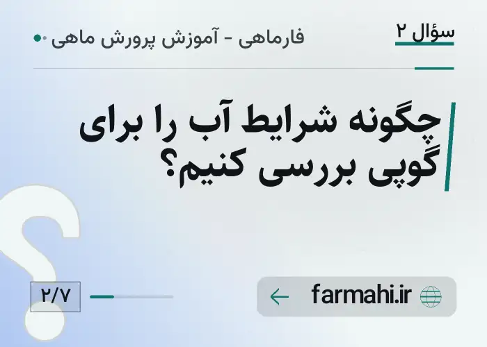 چگونه شرایط آب را برای گوپی بررسی کنیم؟