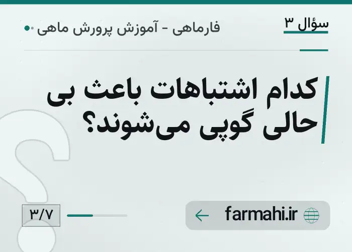 کدام اشتباهات باعث بی حالی گوپی می‌شوند؟