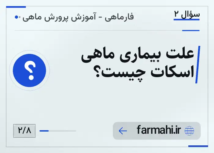 علت بیماری ماهی اسکات چیست؟