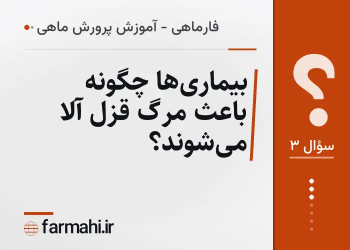 بیماری‌ها چگونه باعث مرگ قزل آلا می‌شوند؟