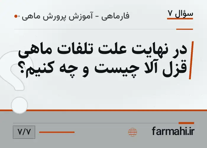 در نهایت علت تلفات ماهی قزل آلا چیست و چه کنیم؟