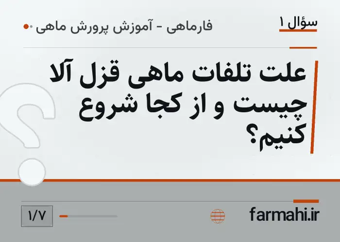 علت تلفات ماهی قزل آلا چیست و از کجا شروع کنیم؟