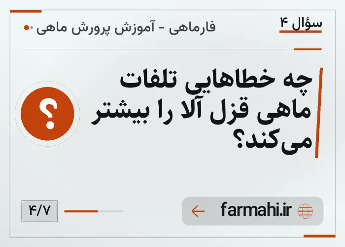 چه خطاهایی تلفات ماهی قزل آلا را بیشتر می‌کند؟