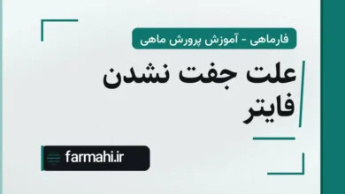 علت جفت نشدن فایتر