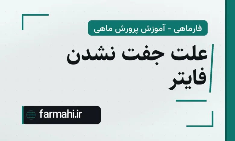 علت جفت نشدن فایتر