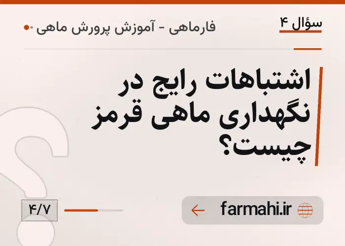 اشتباهات رایج در نگهداری ماهی قرمز چیست؟