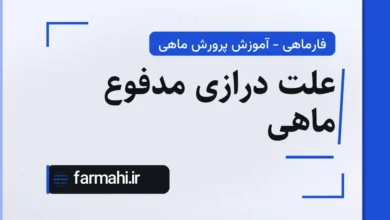 علت درازی مدفوع ماهی