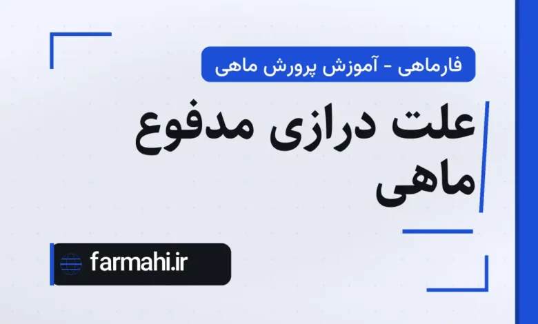 علت درازی مدفوع ماهی