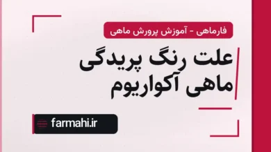علت رنگ پریدگی ماهی آکواریوم