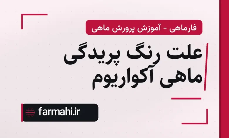 علت رنگ پریدگی ماهی آکواریوم