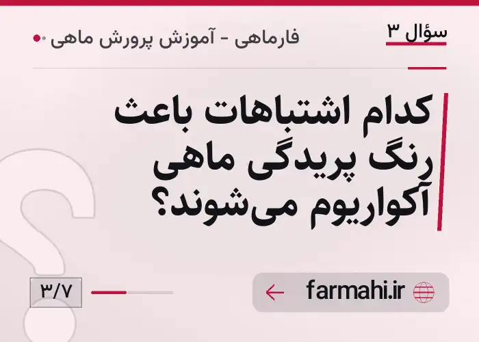 کدام اشتباهات باعث رنگ پریدگی ماهی آکواریوم میشوند؟
