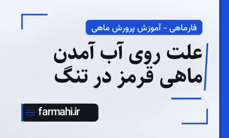 علت روی آب آمدن ماهی قرمز در تنگ