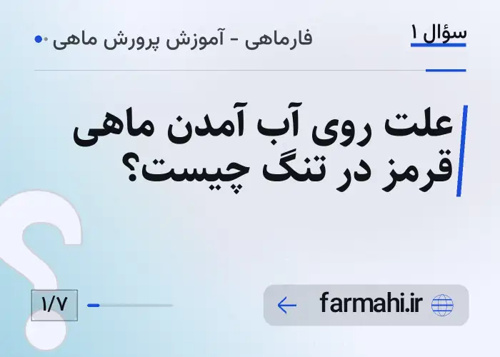 علت روی آب آمدن ماهی قرمز در تنگ چیست؟