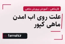 علت روی اب امدن ماهی کپور