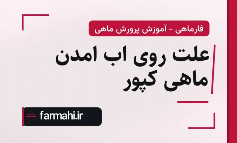علت روی اب امدن ماهی کپور