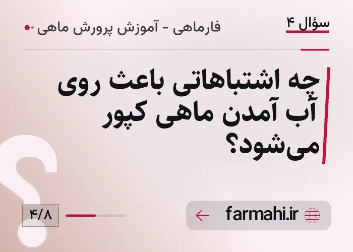 چه اشتباهاتی باعث روی آب آمدن ماهی کپور می‌شود؟