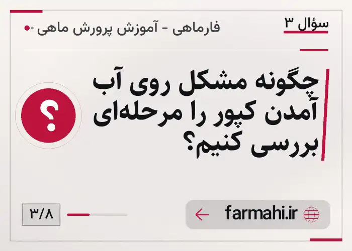 چگونه مشکل روی آب آمدن کپور را مرحله‌ای بررسی کنیم؟