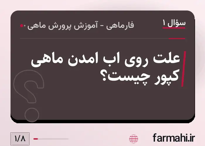 علت روی اب امدن ماهی کپور چیست؟