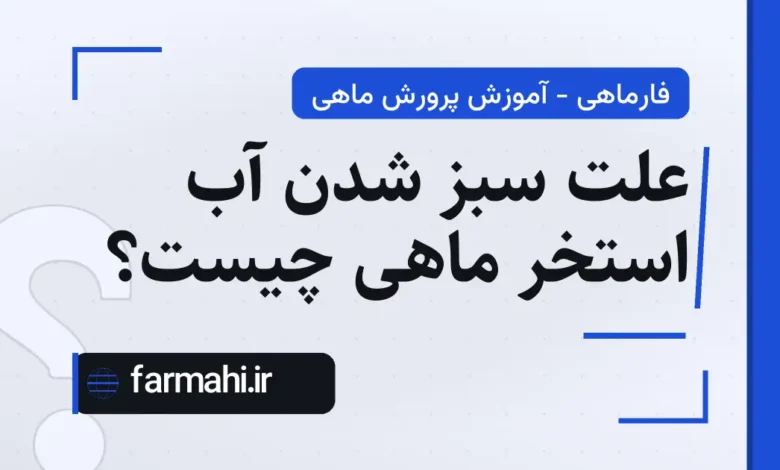 علت سبز شدن آب استخر ماهی چیست؟