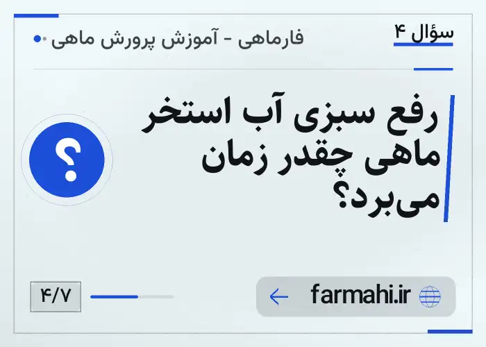 رفع سبزی آب استخر ماهی چقدر زمان می‌برد؟