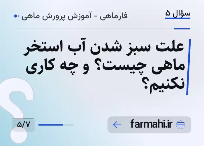 علت سبز شدن آب استخر ماهی چیست؟ و چه کاری نکنیم؟
