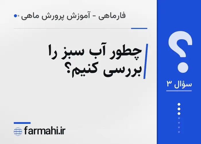 چطور آب سبز را بررسی کنیم؟