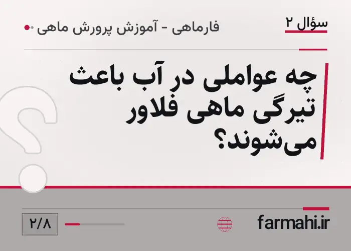 چه عواملی در آب باعث تیرگی ماهی فلاور می‌شوند؟