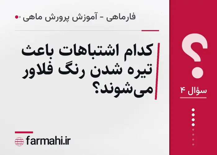 کدام اشتباهات باعث تیره شدن رنگ فلاور می‌شوند؟