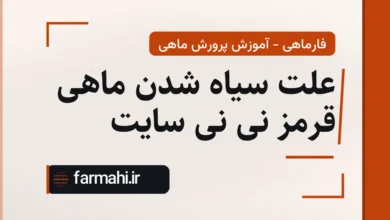 علت سیاه شدن ماهی قرمز نی نی سایت