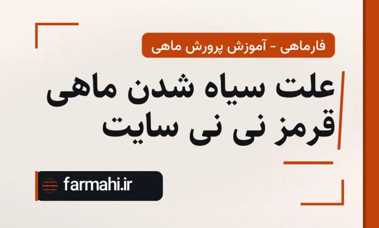 علت سیاه شدن ماهی قرمز نی نی سایت