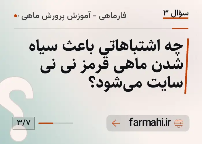 چه اشتباهاتی باعث سیاه شدن ماهی قرمز نی نی سایت می‌شود؟