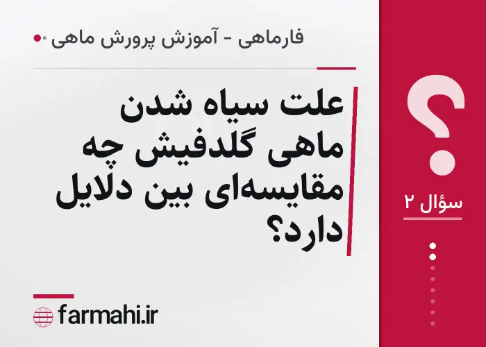 علت سیاه شدن ماهی گلدفیش چه مقایسه‌ای بین دلایل دارد؟