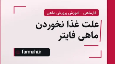 علت غذا نخوردن ماهی فایتر