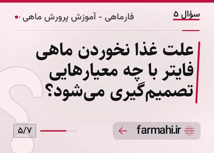 علت غذا نخوردن ماهی فایتر با چه معیارهایی تصمیم‌گیری می‌شود؟