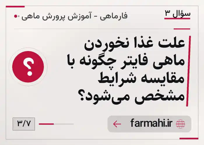 علت غذا نخوردن ماهی فایتر چگونه با مقایسه شرایط مشخص می‌شود؟