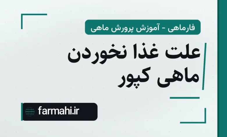 علت غذا نخوردن ماهی کپور