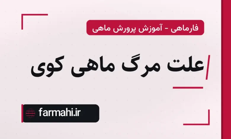 علت مرگ ماهی کوی