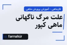 علت مرگ ناگهانی ماهی کپور