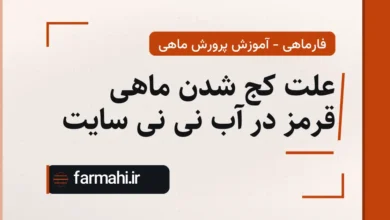 علت کج شدن ماهی قرمز در آب نی نی سایت