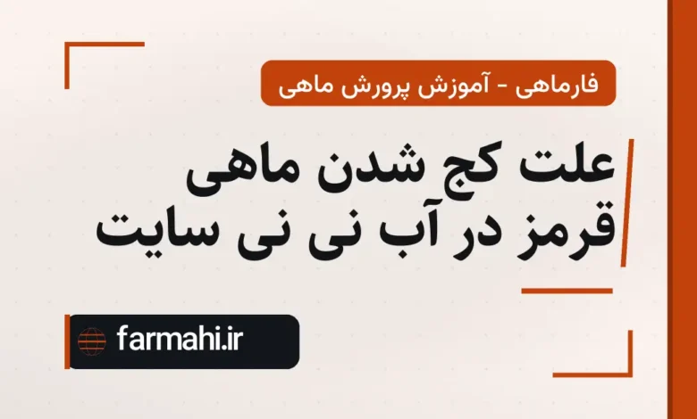 علت کج شدن ماهی قرمز در آب نی نی سایت