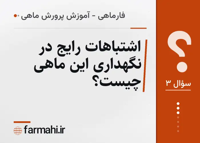اشتباهات رایج در نگهداری این ماهی چیست؟