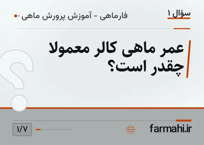 عمر ماهی کالر معمولاً چقدر است؟