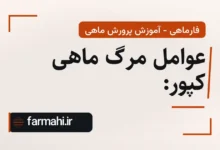 عوامل مرگ ماهی کپور: