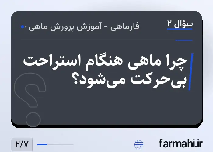 چرا ماهی هنگام استراحت بی‌حرکت می‌شود؟