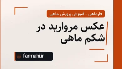 عکس مروارید در شکم ماهی