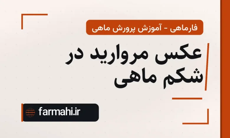 عکس مروارید در شکم ماهی