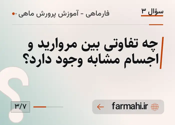 چه تفاوتی بین مروارید و اجسام مشابه وجود دارد؟