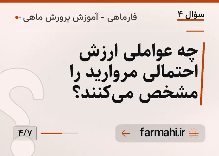 چه عواملی ارزش احتمالی مروارید را مشخص می‌کنند؟